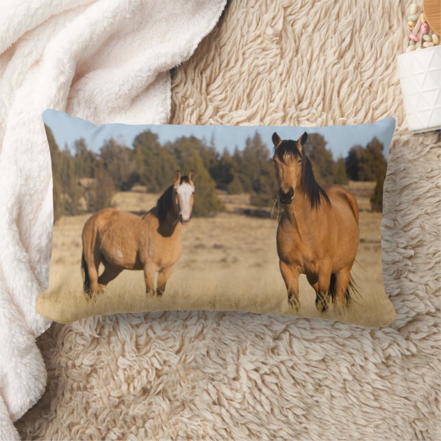 Coussin Rectangle Chevaux sauvages, montagnes Steens (Couverture)