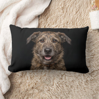 Coussin Rectangle Chien bâtard isolé sur fond noir