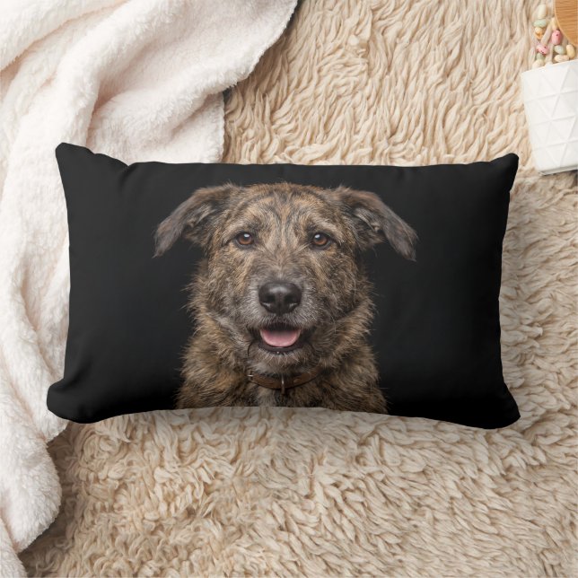 Coussin Rectangle Chien bâtard isolé sur fond noir (Couverture)
