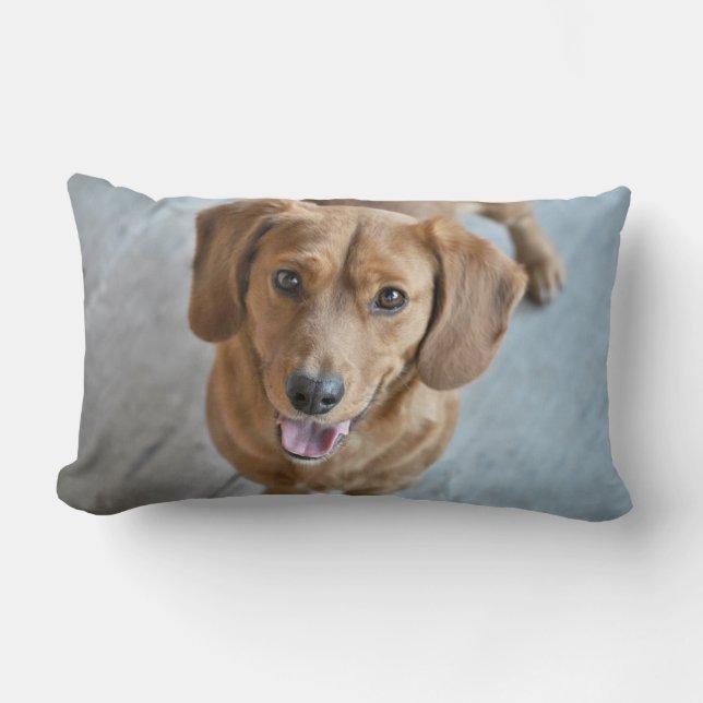 Coussin Rectangle Chien mignon (Recto)