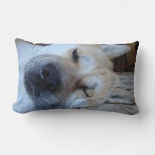 Coussin Rectangle Chien mignon d'akita dormant avec l'expression
