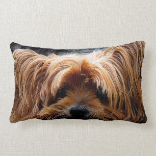 Coussin Rectangle Chien mignon de Yorkshire Terrier