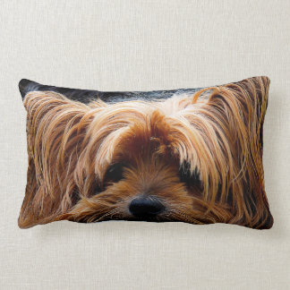 Coussin Rectangle Chien mignon de Yorkshire Terrier