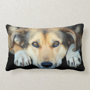 Coussin Rectangle Chien mignon sur tout arrière - plan de couleur