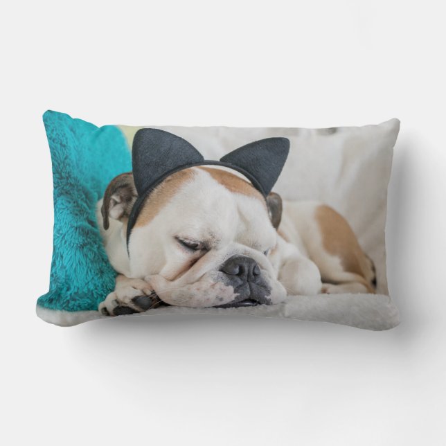 Coussin Rectangle Chien somnolent des images | de Getty avec le (Recto)