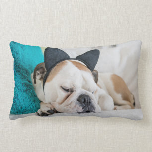 Coussin Rectangle Chien somnolent des images de Getty avec le