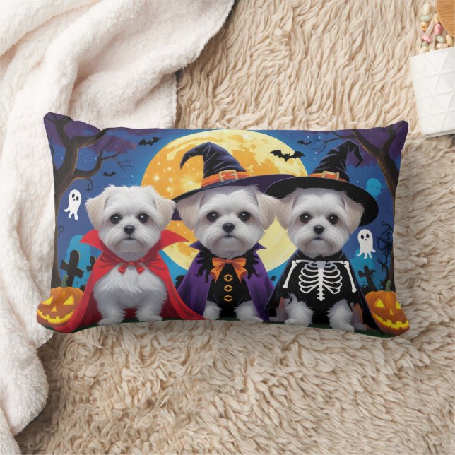 Coussin Rectangle Chiens maltais Citrouille Halloween drôle (Couverture)