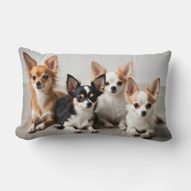 Coussin Rectangle Chihuahuas (Recto)