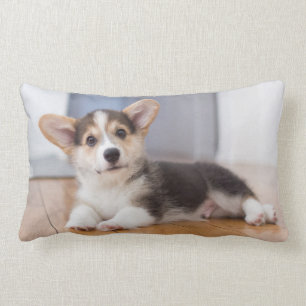Coussin Rectangle Chiot de corgi de Gallois de Pembroke