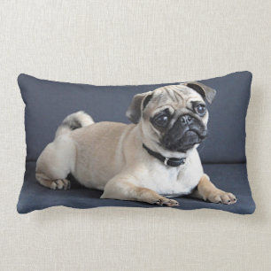 Coussin Rectangle Chiot sur le divan Lounging