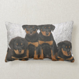 Coussin Rectangle Chiots de rottweiler