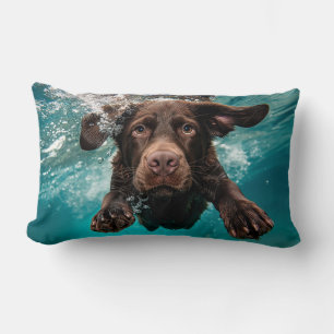 Coussin Rectangle Chocolat Joueur Labrador nage sous l'eau