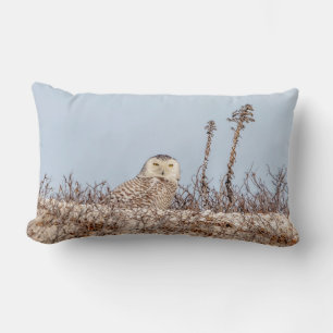 Coussin Rectangle Chouette neige assise sur la plage