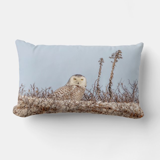 Coussin Rectangle Chouette neige assise sur la plage (Recto)