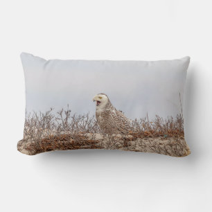 Coussin Rectangle Chouette neige assise sur la plage
