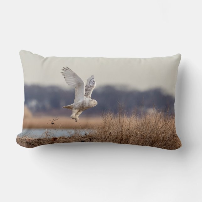Coussin Rectangle Chouette neige décolle (Recto)