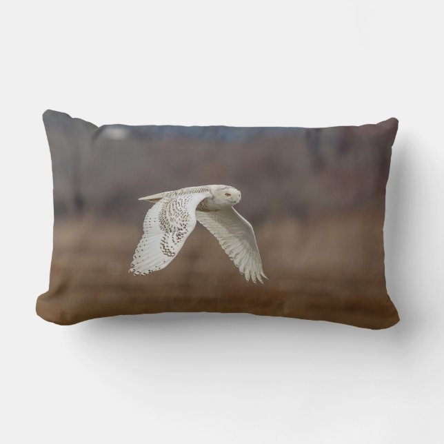Coussin Rectangle Chouette neige en vol (Recto)