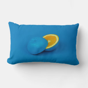Coussin Rectangle citron bleu coupé en deux moitiés