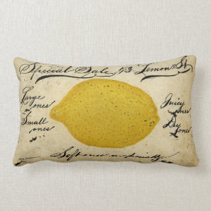 Coussin Rectangle Citrons spéciaux -1897