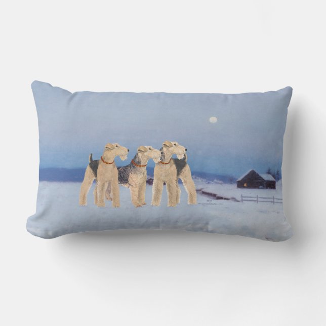 Coussin Rectangle Clair de lune d'hiver (Recto)