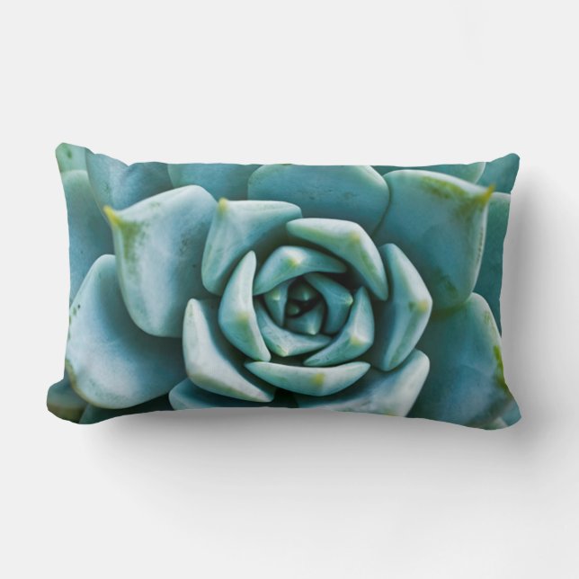 Coussin Rectangle Closeup Succulent (Recto)