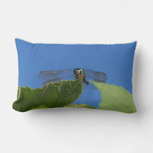 Coussin Rectangle Closeuse d'une libellule contre un ciel bleu vif