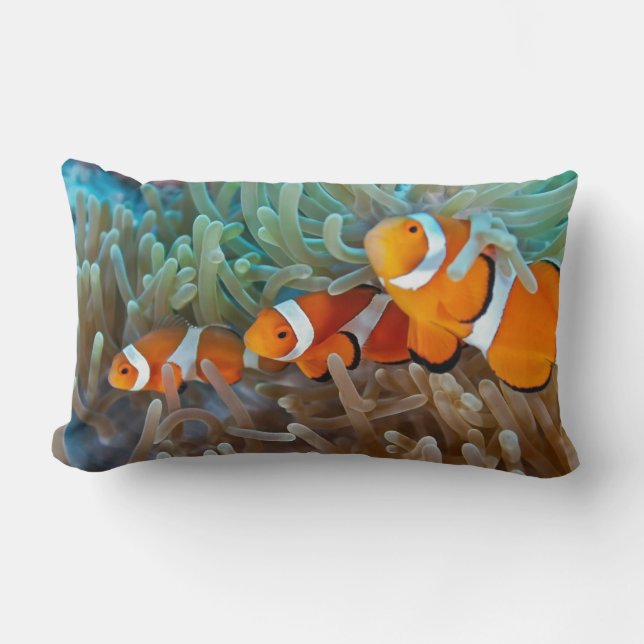 Coussin Rectangle Clownfish (Recto)