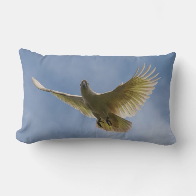 Coussin Rectangle Cockatoo Bird Parrot Animal Fly Sky Australie (Recto)