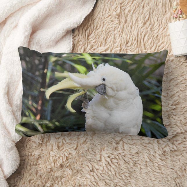 Coussin Rectangle Cockatoo Convivial Au Sulfure Et À La Poitrine Bon (Couverture)