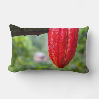 Coussin Rectangle cocod