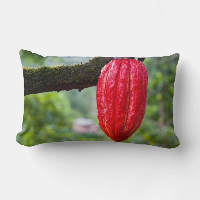 Coussin Rectangle cocod (Recto)