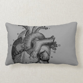 Coussin Rectangle Coeur vintage - anatomie
