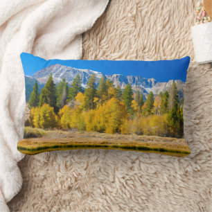 Coussin Rectangle Col de Tioga du Parc national de Yosemite