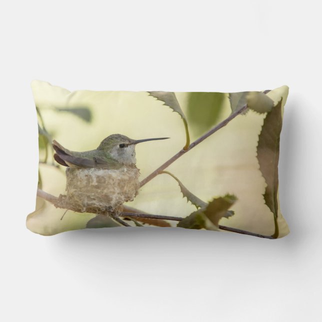 Coussin Rectangle Colibri femelle sur son nid (Recto)