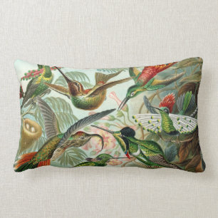 Coussin Rectangle Colibris