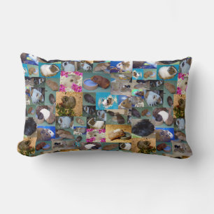 Coussin Rectangle Collage photo de porc de Guinée, Lumbar Cushion