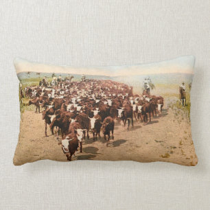 Coussin Rectangle Commande de bétail