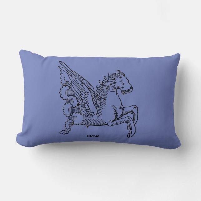 Coussin Rectangle Constellation : Pegasus (Recto)
