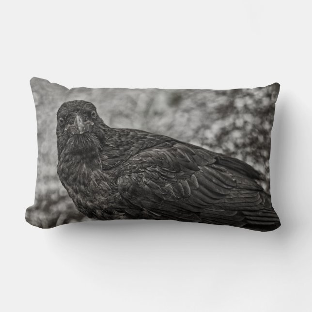 Coussin Rectangle Corbeau P9239 (Recto)