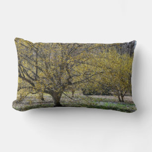 Coussin Rectangle Corneille cerise Dogwood et la gloire de la neige