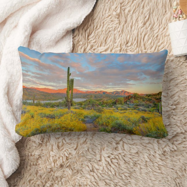 Coussin Rectangle Coucher de soleil sur paysage désertique (Couverture)