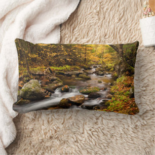 Coussin Rectangle Couleur d'automne Jefferson Brook   Montagnes blan