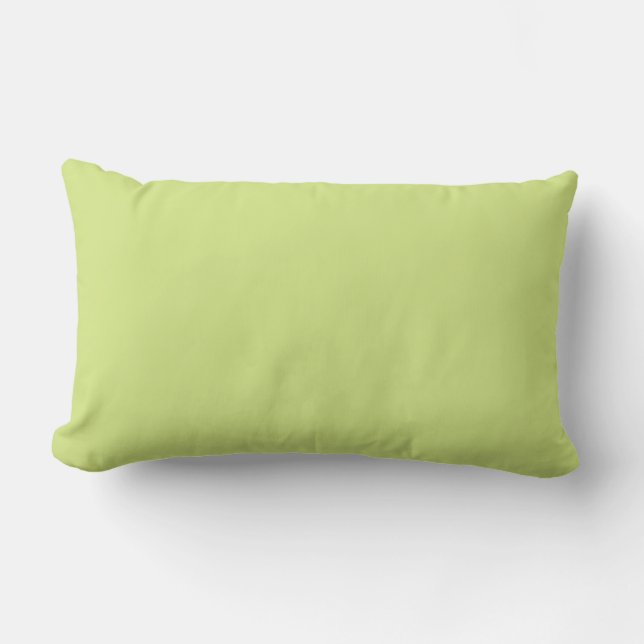 Coussin Rectangle Couleur ferme vert céleste (Recto)