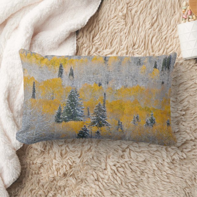 Coussin Rectangle Couleurs d'automne des Aspens et du col de la neig (Couverture)