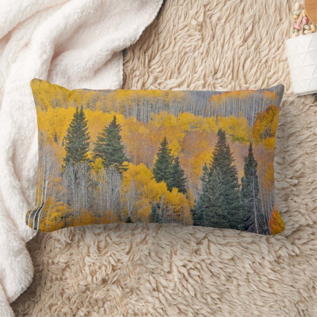 Coussin Rectangle Couleurs d'automne sur Aspen Groves (Couverture)