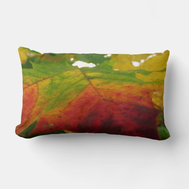 Coussin Rectangle Couleurs de la feuille d'érable Automne Photograph (Recto)