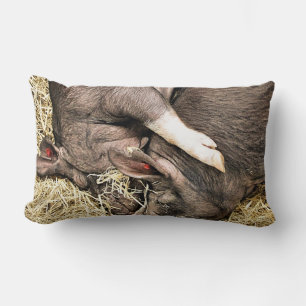 COUSSIN RECTANGLE COUPER LES COCHONS DE SOMMEIL