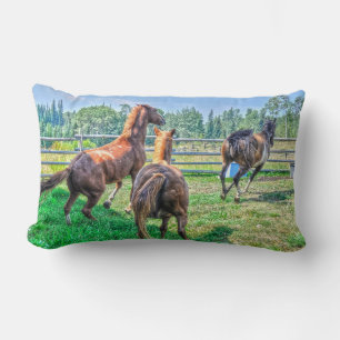 Coussin Rectangle Courir Pinto Peinture Gelding & Stallions châtaign