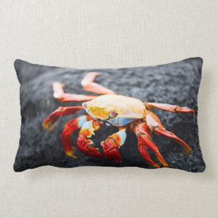 Coussin Rectangle Crabe de lightfoot de sortie sur une roche noire