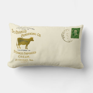 Coussin Rectangle CRÈME DE LAIT DE VACHE LAITIÈRE St Charles Illinoi